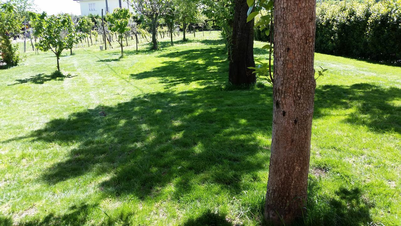B&B Maison La Coccola Peschiera del Garda Exteriör bild
